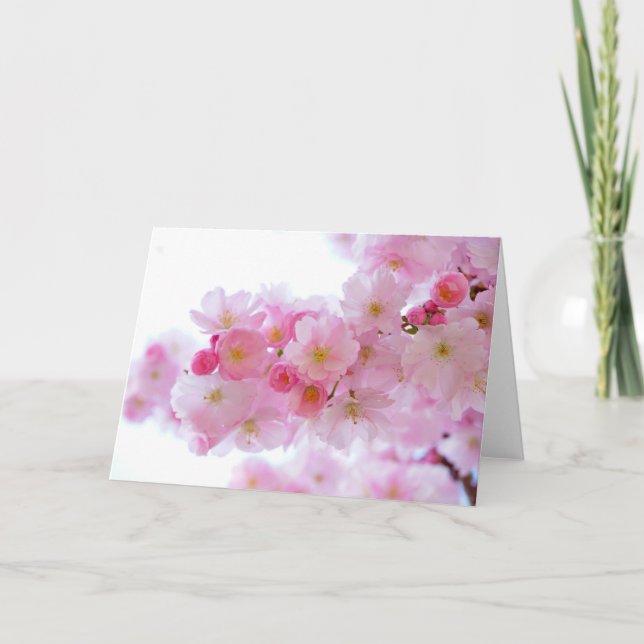 Pastellrosa Kirschblüten Karte (Vorderseite)