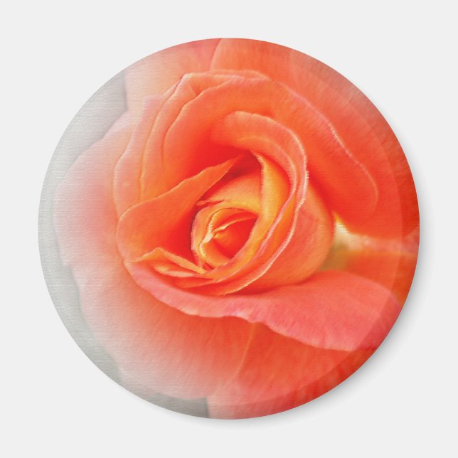 Pastellrosa Magnet (Vorne)