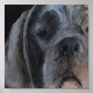 Pastellzeichnung Blauer Dogge Poster