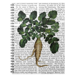 Pastinak 1 notizblock