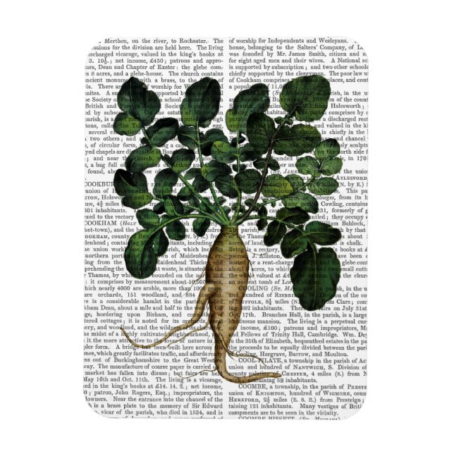 Pastinake 1 magnet (Vertikal)