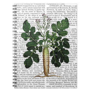 Pastinake 3 notizblock