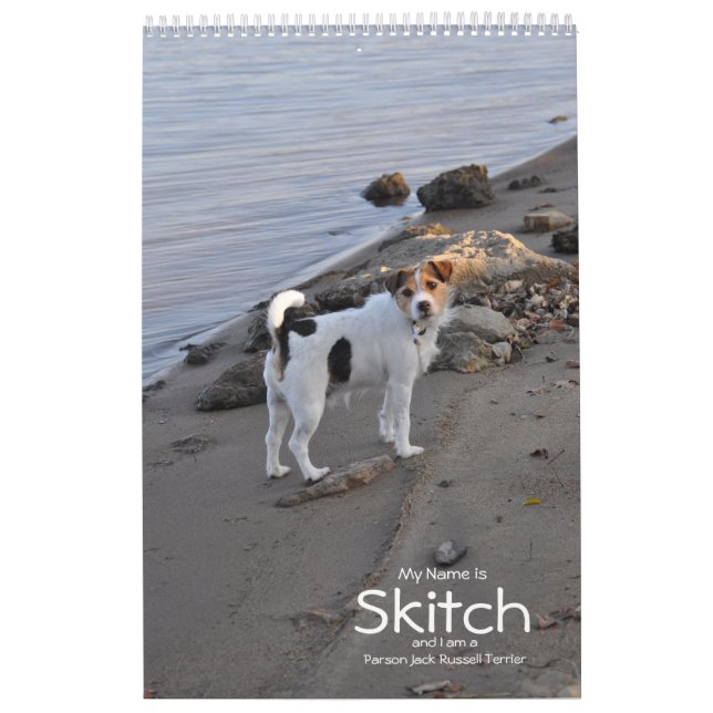 Pastor-Jack-Russell-Terrier-Hundekalender durch Kalender (Titelbild)