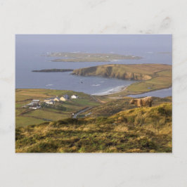 Pastoralküste Postkarte