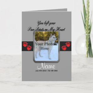 Pat Loss Announcement Card Paw Prints - Ankündigung