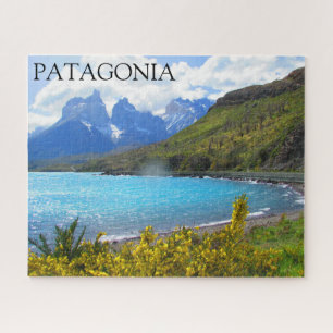 Patagonia-Seespiegel