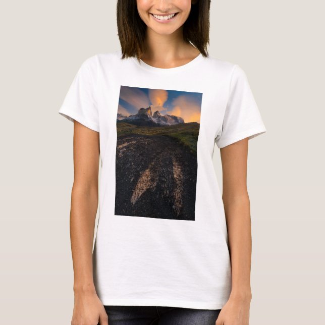 Patagonia T-Shirt (Vorderseite)