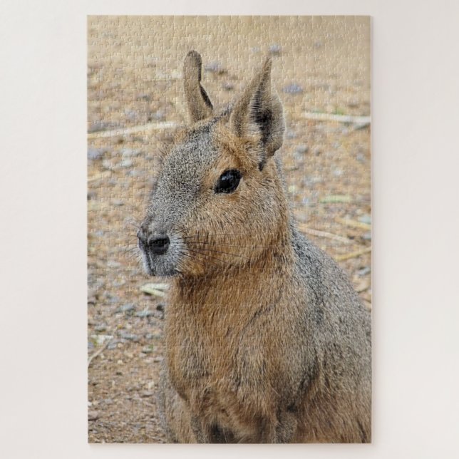 PATAGONIAN MARA (Vertikal)