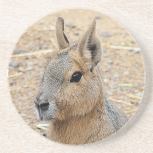 PATAGONIAN MARA GETRÄNKEUNTERSETZER
