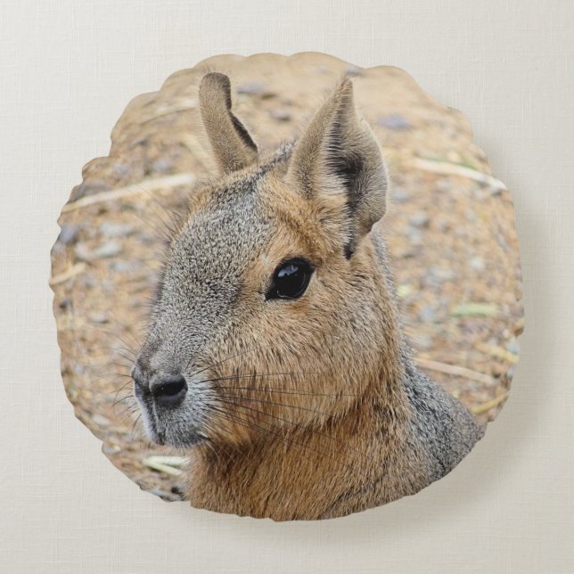 PATAGONIAN MARA RUNDES KISSEN (Vorderseite)