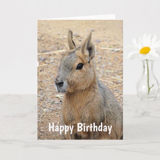 PATAGONIAN MARA WILD TIERE KARTE (Kleine Pflanze)