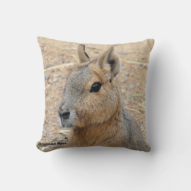 PATAGONIAN MARA WILD TIERE KISSEN (Vorderseite)