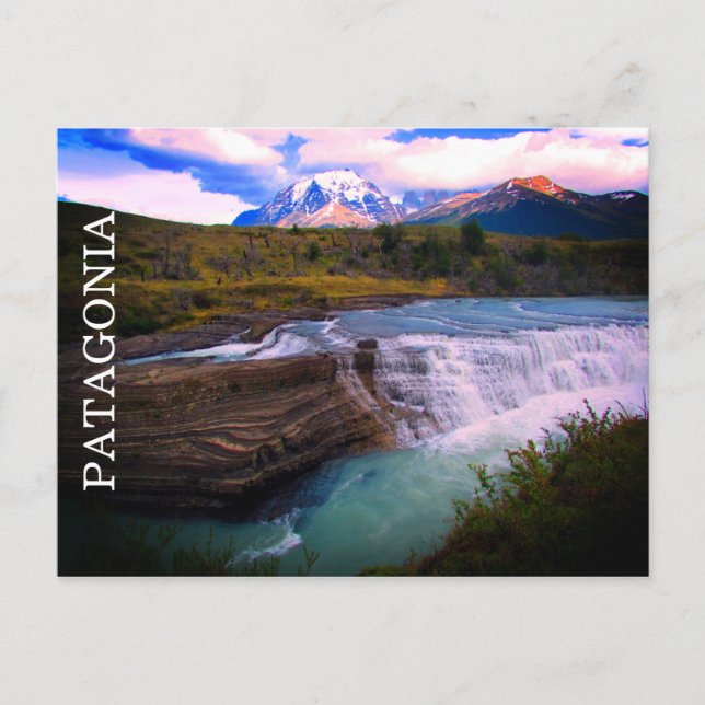 patagonische Stürze Postkarte (Vorderseite)