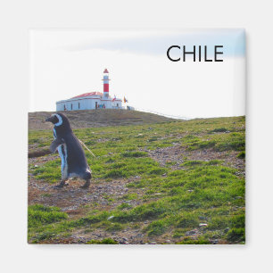Patagonischer Chile Pinguin Magnet