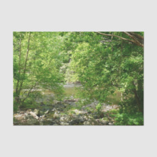 Patapsco River Blick Maryland Naturfotografie Seidenpapier