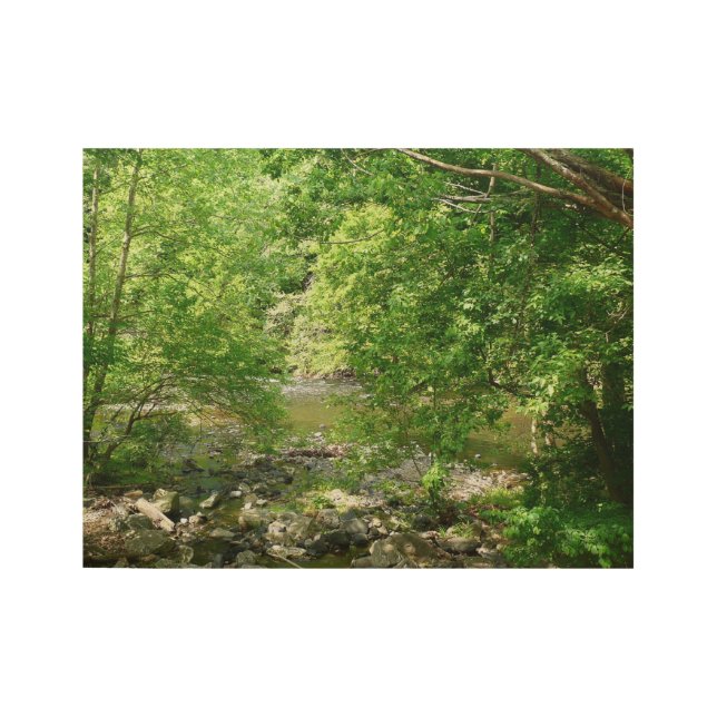 Patapsco River View Maryland Nature Fotografy Holzposter (Vorderseite)