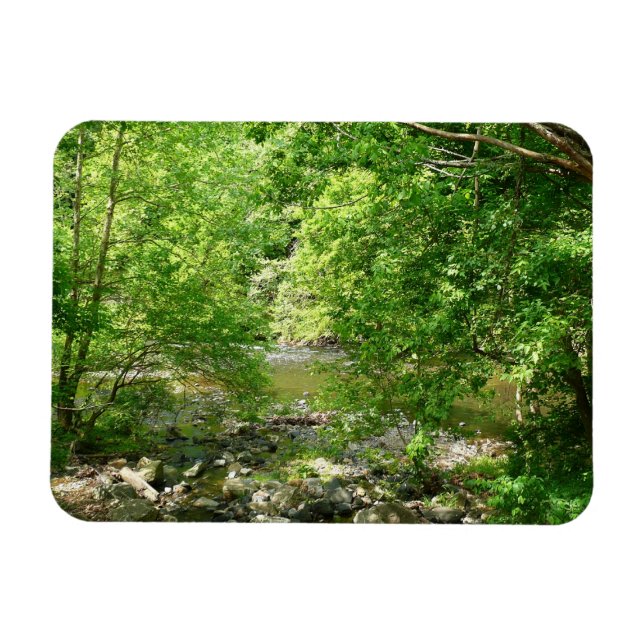Patapsco River View Maryland Nature Fotografy Magnet (Horizontal)