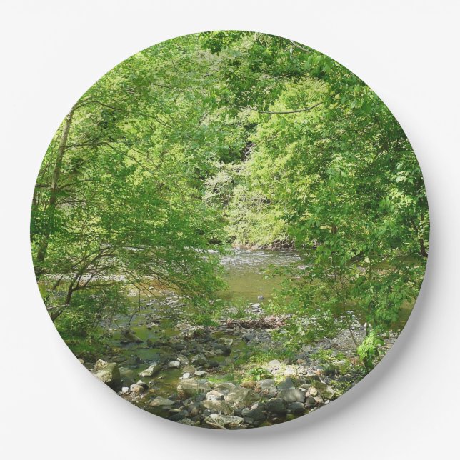 Patapsco River View Maryland Nature Fotografy Pappteller (Vorderseite)