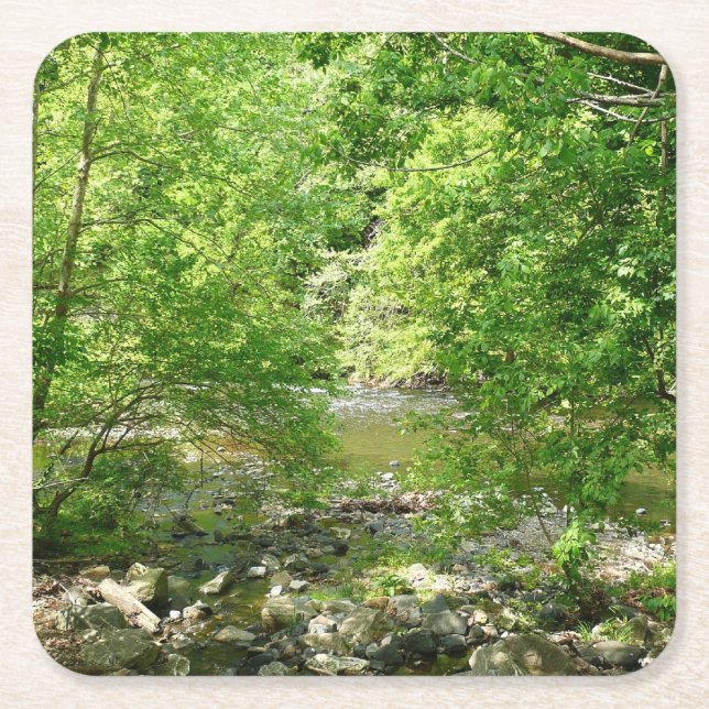 Patapsco River View Maryland Nature Fotografy Rechteckiger Pappuntersetzer (Vorderseite)