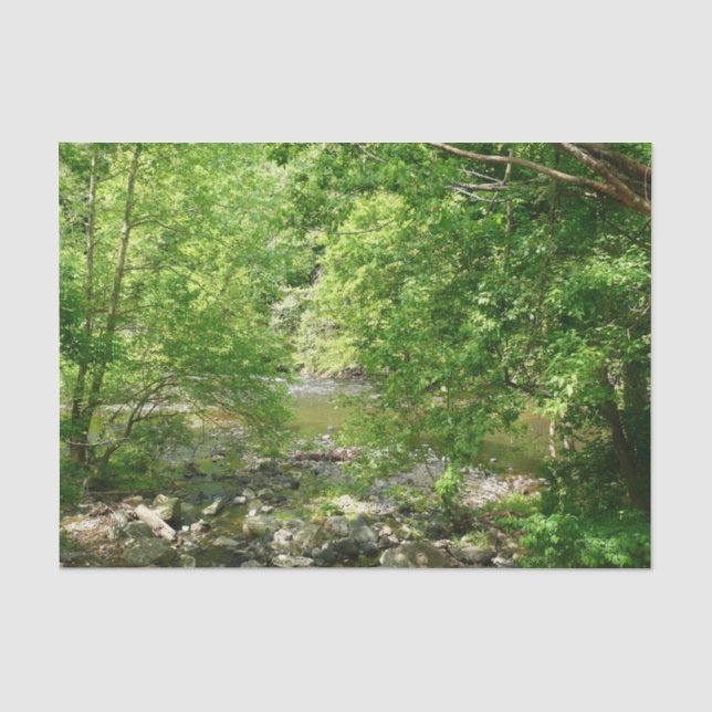 Patapsco River View Maryland Nature Fotografy Seidenpapier (Vorderseite)