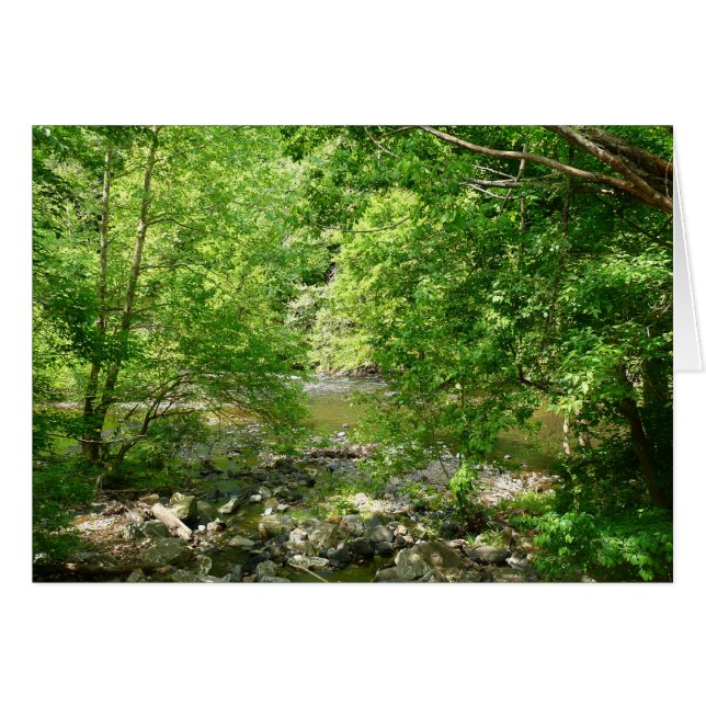 Patapsco River View Maryland Nature Photographie (Devant horizontal)