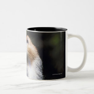 Patas Affe Zweifarbige Tasse