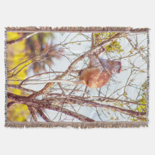 Patas ist Up a Tree Decke