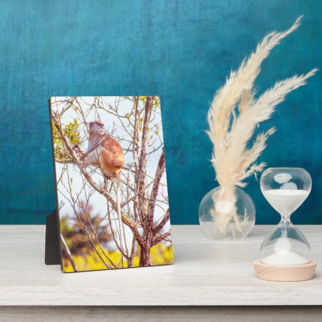 Patas ist Up a Tree Fotoplatte (Seite)