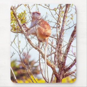 Patas ist Up a Tree Mousepad