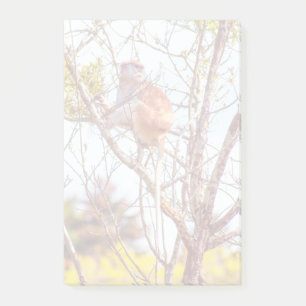 Patas ist Up a Tree Post-it Klebezettel