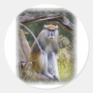 Patas Monkey Runder Aufkleber