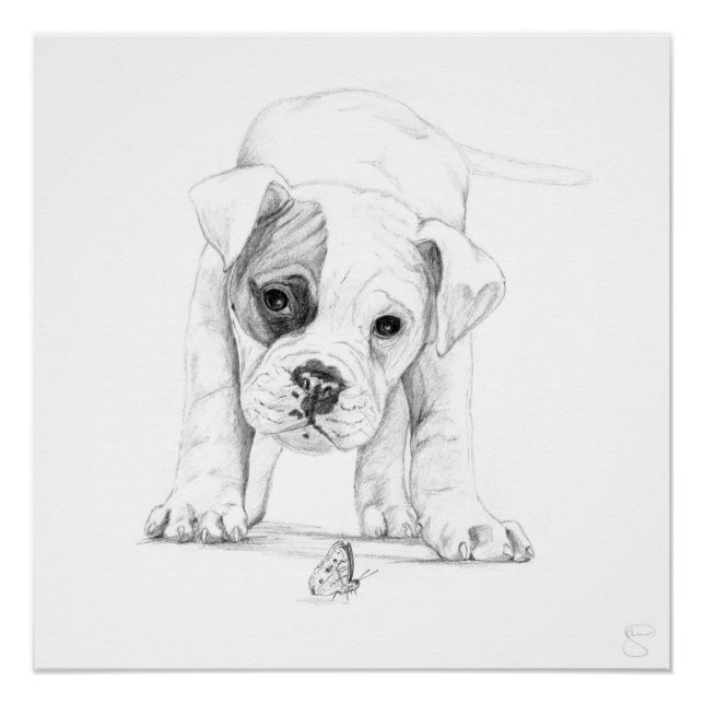 Patch A Boxer Puppy Zeichne Kunst Poster (Vorderseite)