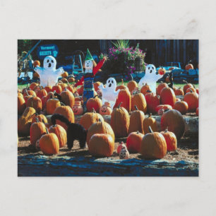 Patch citrouille avec Ghosts - Carte postale
