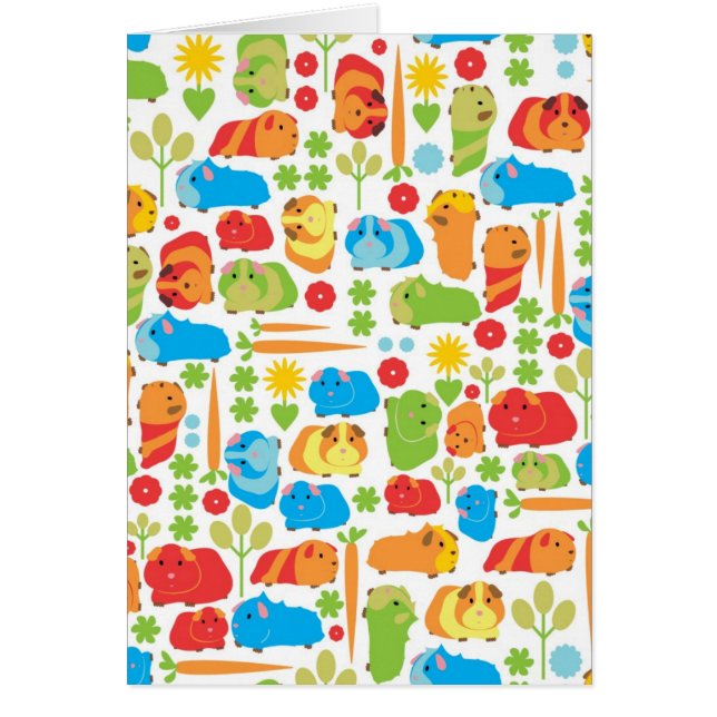 Patch de cochon de Guinée (Devant)