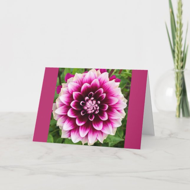 Patches Dahlia Karte (Vorderseite)