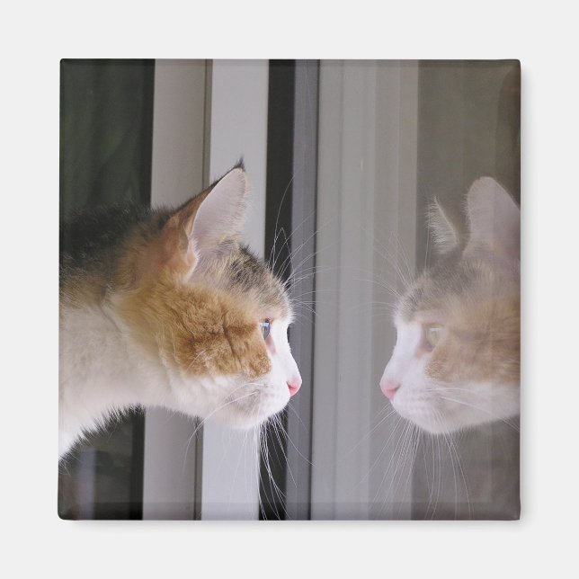 Patches Magnet (Vorne)