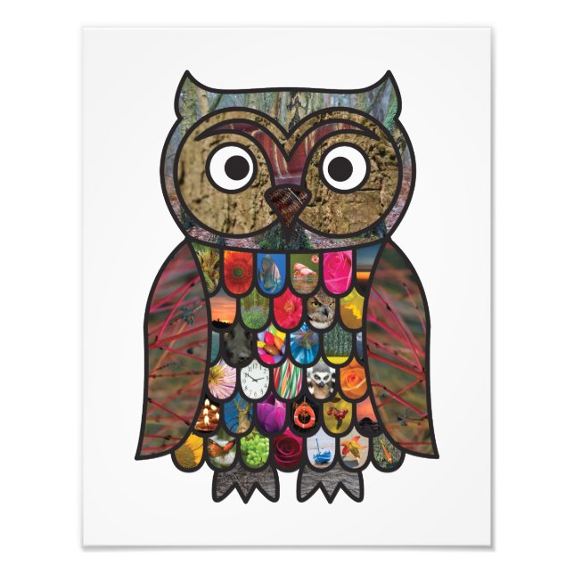 Patchwork Owl Fotodruck (Vorne)