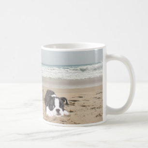Pâtés de sable de tasse de Boston Terrier