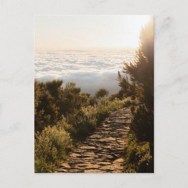 Path above the clouds with golden sunrise, Madeira Postkarte (Vorderseite)