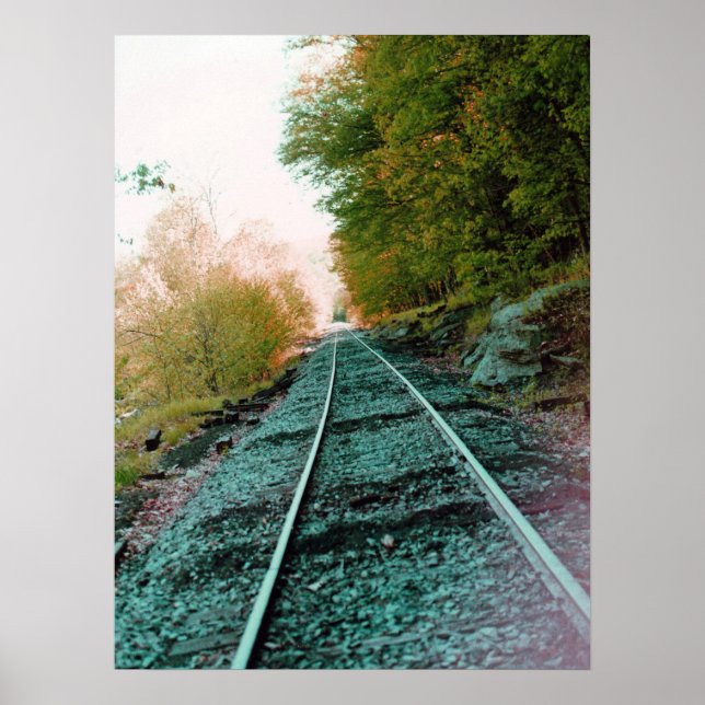 Path of Solitude Poster (Vorne)