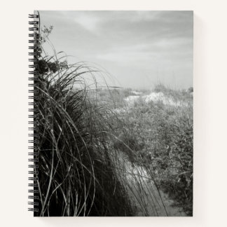 Path Through the Dunes | Rustic Beach Journal Notizbuch