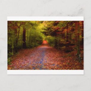 Paths in Nature Postkarte