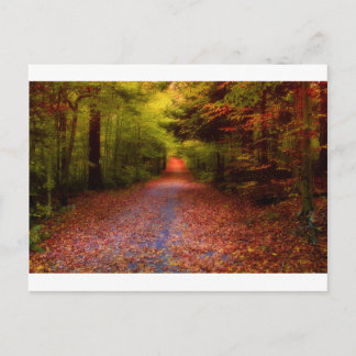 Paths in Nature Postkarte