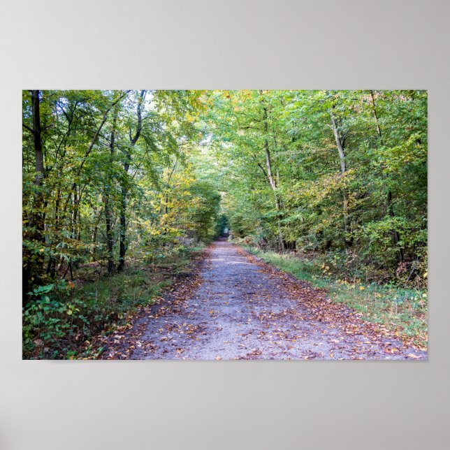 Pathway in the autumn forest, Saint Germain Forest Poster (Vorne)