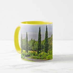 PATHWAY MIT ZYPRESSEBÄUMEN TASSE