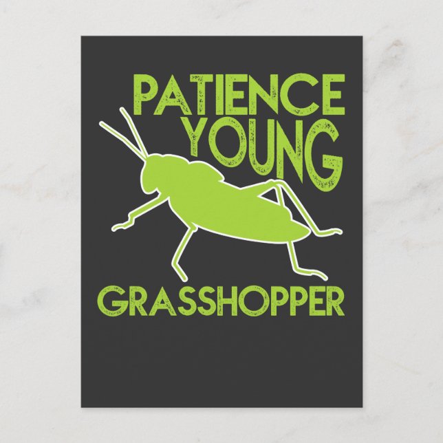 Patience Young Grasshopper Funny Novelty Postkarte (Vorderseite)