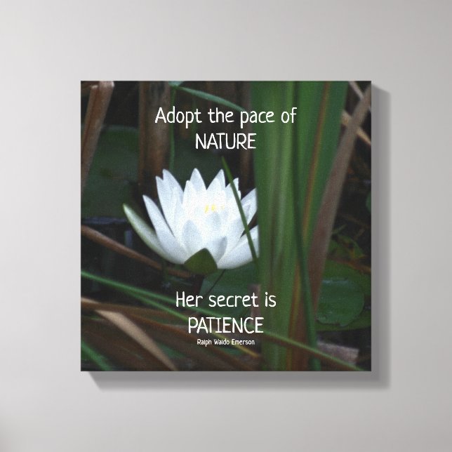 Patient Emerson Inspiration Zitat Lotus Leinwanddruck (Vorderseite)
