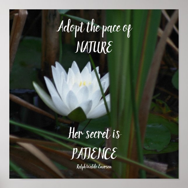 Patient Emerson Inspiration Zitat Lotus Poster (Vorne)