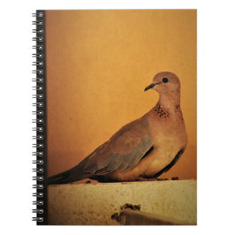 Patient Posen Notizblock