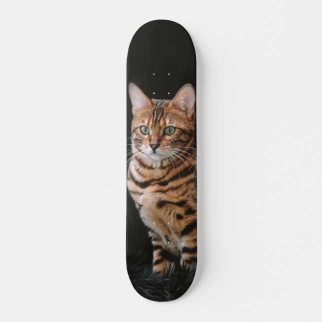 Patineta Gato De Raza Bengala Skateboard (Vorne)